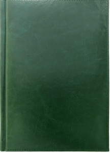ЕЖЕДНЕВНИК A5 2025 BIRMINGHAM ЗЕЛЕНЫЙ