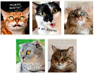 ТЕТРАДЬ 96Л КЛЕТКА "КОТИКИ" 