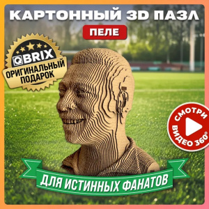КОНСТРУКТОР КАРТОННЫЙ 3D ПЕЛЕ