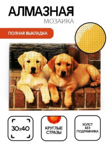 АЛМАЗНАЯ МОЗАИКА "ДВА ЛАБРАДОРА" 30*40СМ