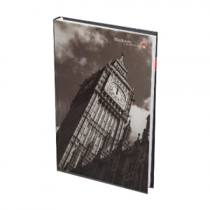 ЗАПИСНАЯ КНИГА A5 160Л ЗАПИСНАЯ КНИГА A5 160Л