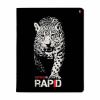 ТЕТРАДЬ 48Л КЛЕТКА "RAPID"  