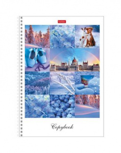 ТЕТРАДЬ 80Л КЛЕТКА А4 "КРАСКИ ДНЯ"