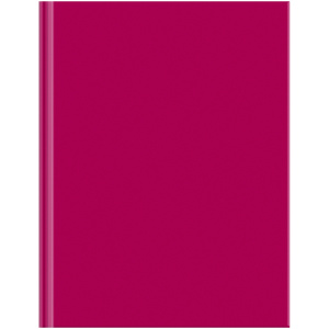 ЗАПИСНАЯ КНИГА А5 80Л "ДЛЯ КОНФЕРЕНЦИЙ" ЗАПИСНАЯ КНИГА А5 80Л "ДЛЯ КОНФЕРЕНЦИЙ"