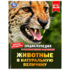 КНИГА УМКА ЭНЦИКЛОПЕДИЯ "ЖИВОТНЫЕ В НАТУРАЛЬНУЮ ВЕЛИЧИНУ"