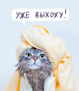 ТЕТРАДЬ 60Л КЛЕТКА А4 LISTOFF "УТРО КОШЕЧКИ"