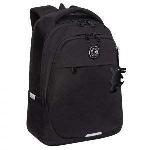 РЮКЗАК МОЛОДЕЖНЫЙ GRIZZLY RD-540-1 40*29*18СМ