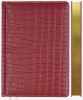 ЕЖЕДНЕВНИК A5 2025 168Л "VISA" БОРДОВЫЙ