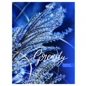 ТЕТРАДЬ НА КОЛЬЦАХ 120Л КЛЕТКА А5 "BLUE SERENITY" 