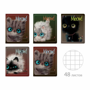 ТЕТРАДЬ 48Л "KITTY LIFE"