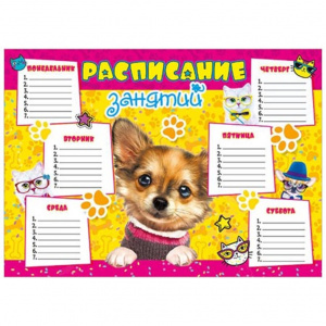 "РАСПИСАНИЕ ЗАНЯТИЙ" А4 ПЕС