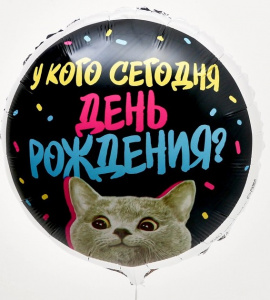 ШАР ВОЗДУШНЫЙ ФОЛЬГИНИРОВАННЫЙ КРУГ У КОГО ДР
